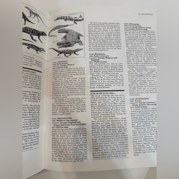 Macmillan Illustrated Encyclopedia of Dinosaurs Children’s Book - Picture 6 of 10